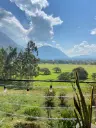 vista.webp